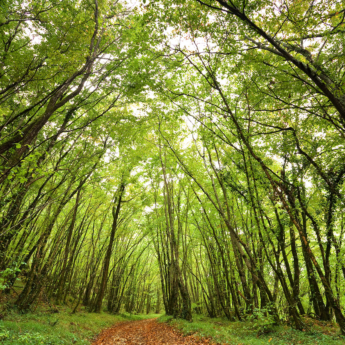 Eco-responsabilité