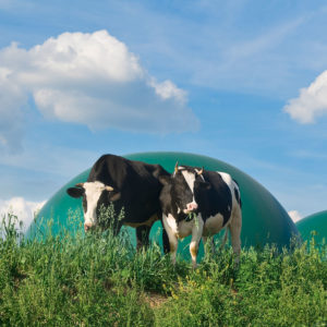 éco responsabilité dans le Périgord