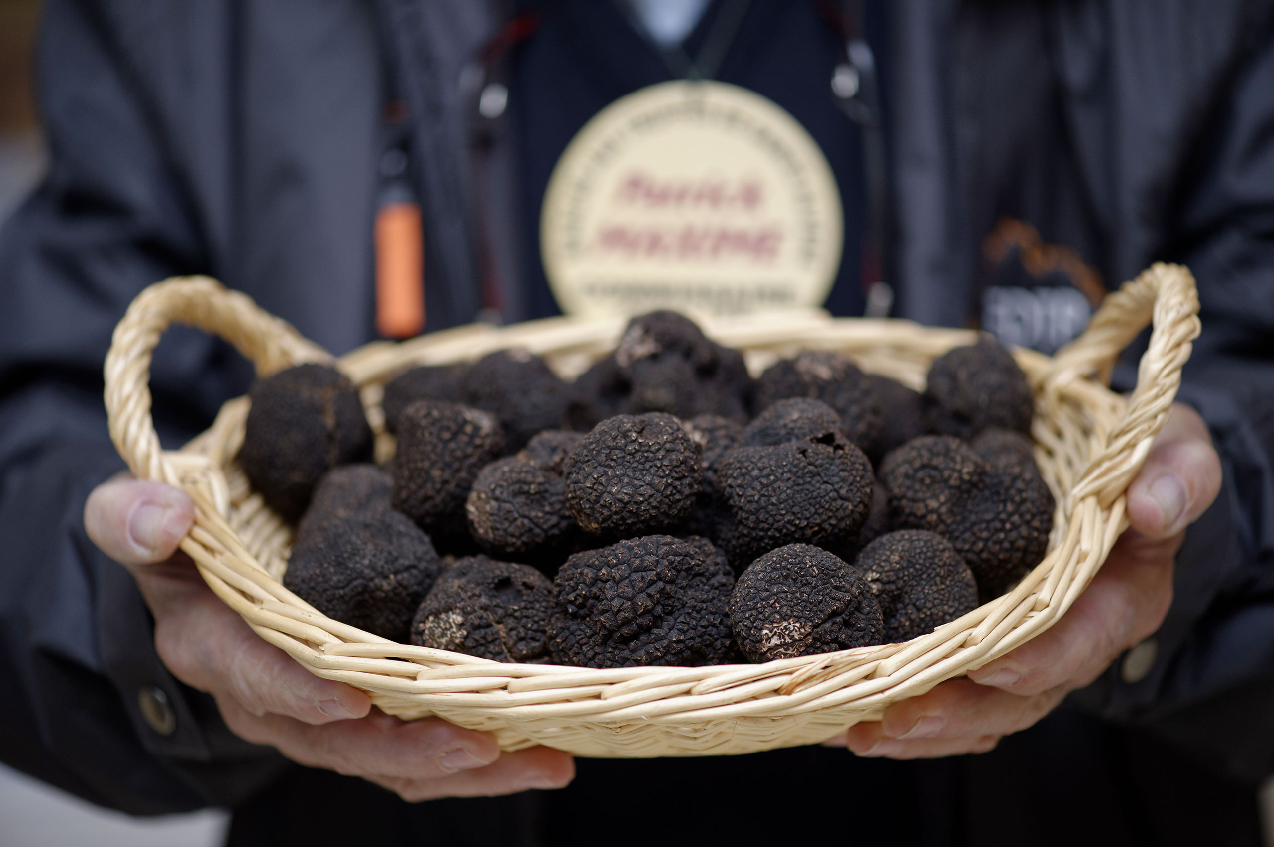 truffes à Sainte-Alvère