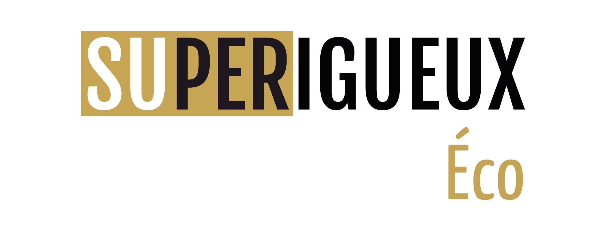 logo Superigueux éco