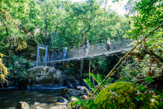Georges de l'Auvezere